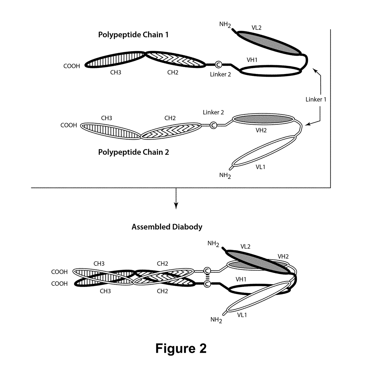 ROR1-Binding Molecules, and Methods of Use Thereof