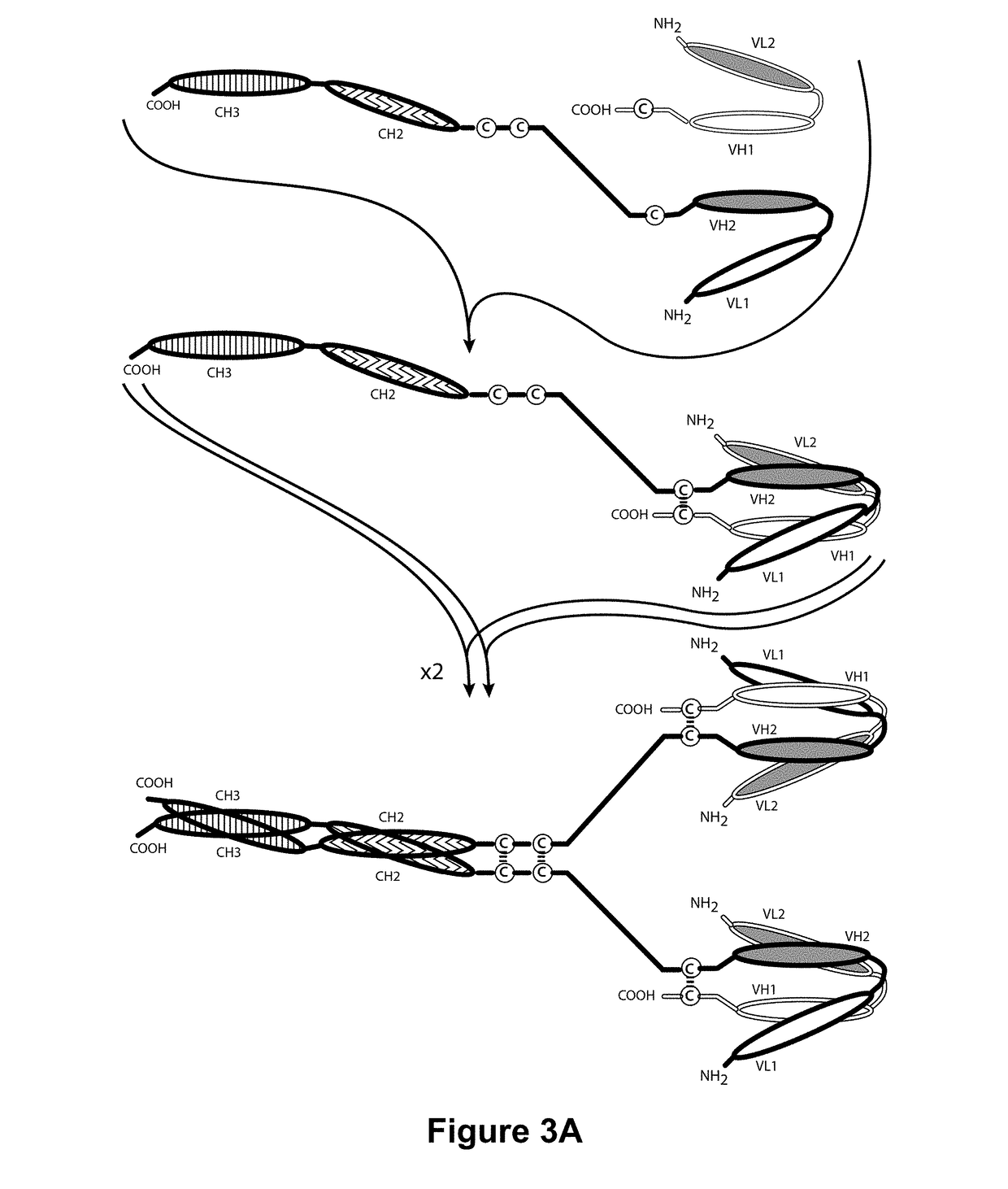 ROR1-Binding Molecules, and Methods of Use Thereof