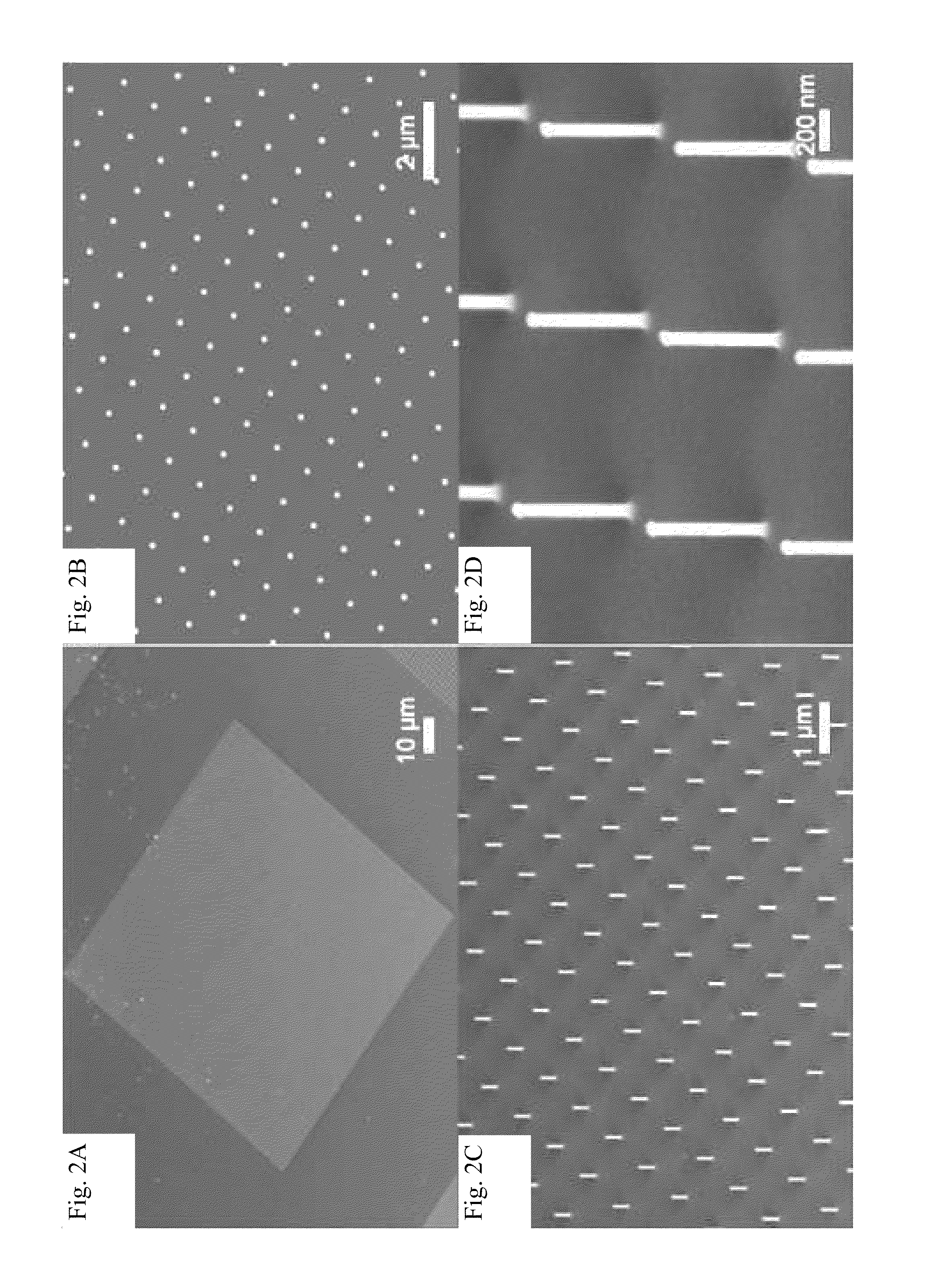 Light absorption and filtering properties of vertically oriented semiconductor NANO wires