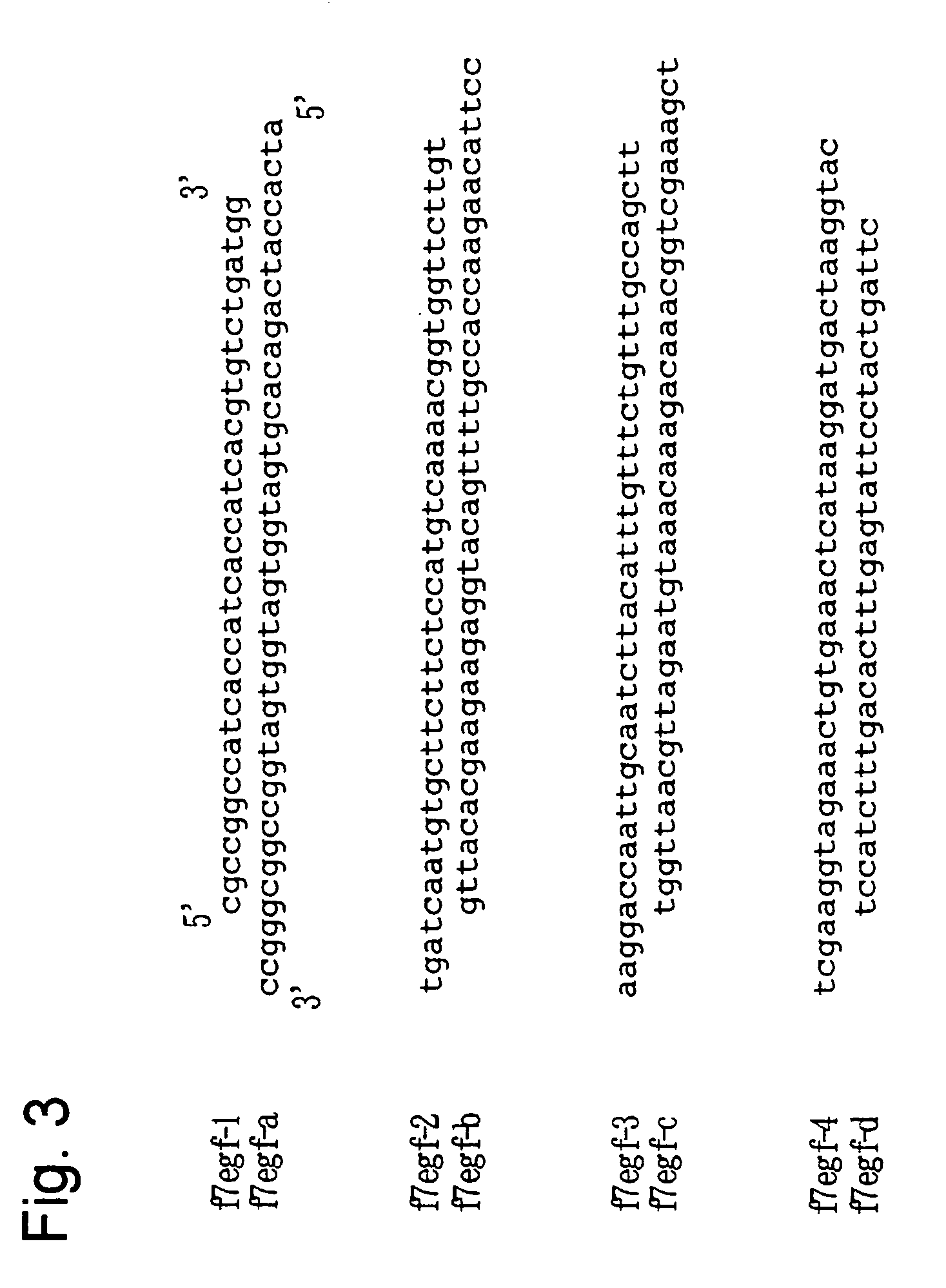 Yeast transformant into which genes associated with synthesis system of O-fucosylated protein are introduced