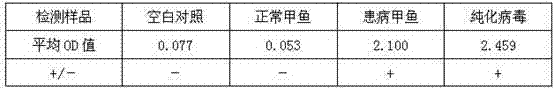 Method for yolk antibody-based enzyme-linked immunoadsordent assay (ELISA) detection of turtle systemic sepsis spherical viruses