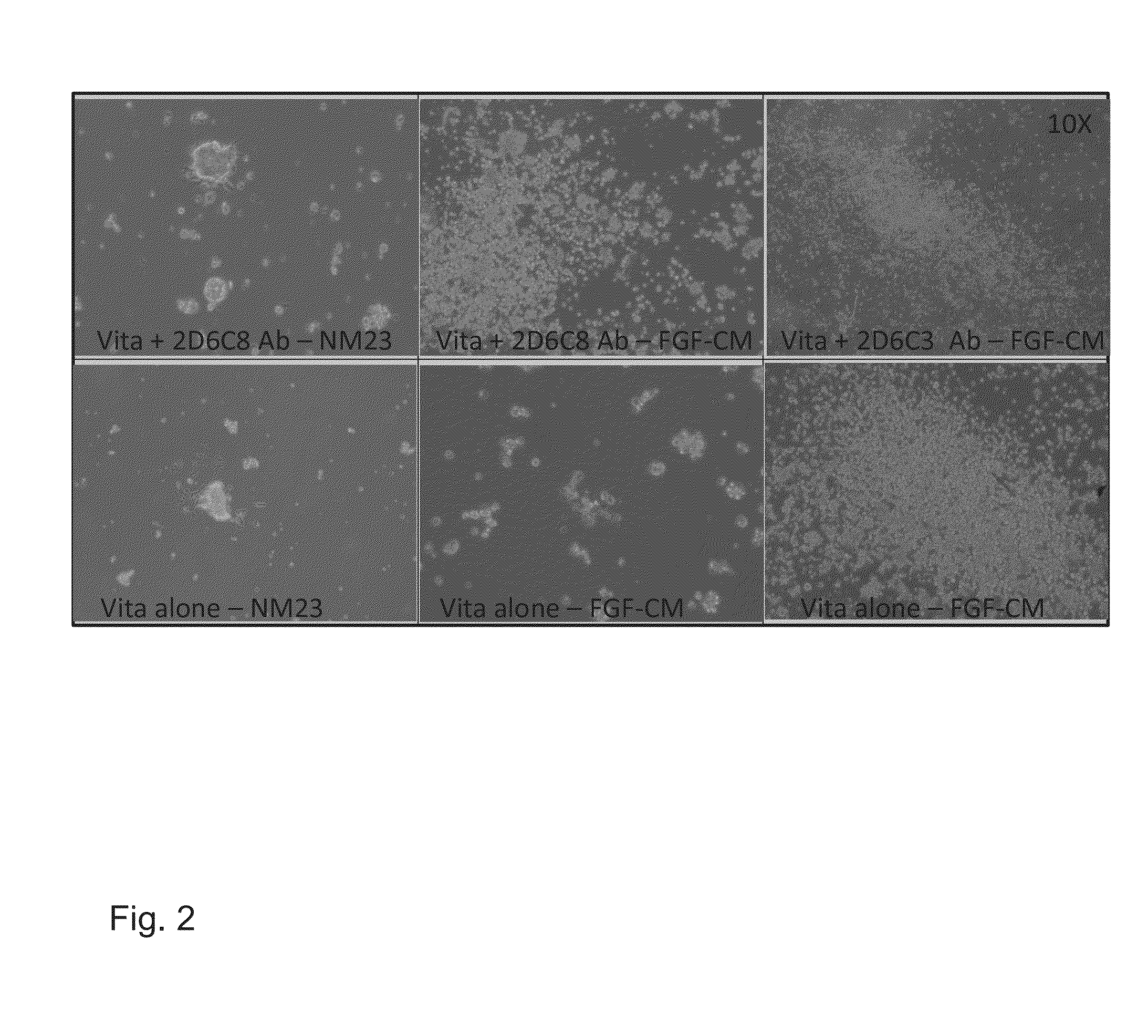 Method for making pluripotent stem cells