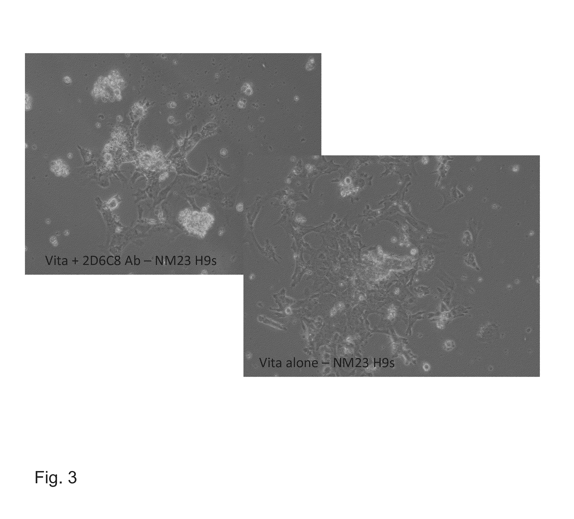 Method for making pluripotent stem cells