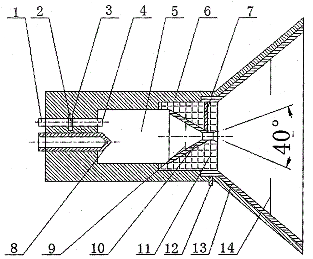 Bubble charging electrode electrostatic spraying nozzle