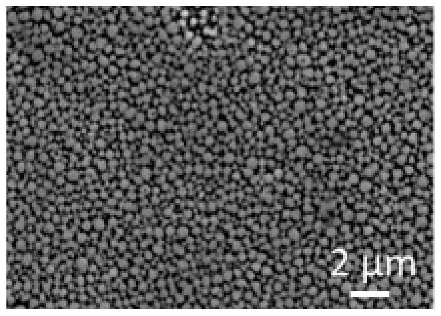 Preparation method for porous NiTi alloy based on selective dissolution and product