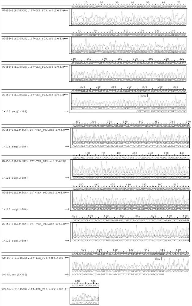 A protein and application for inducing experimental autoimmune encephalomyelitis animal model in cynomolgus monkeys