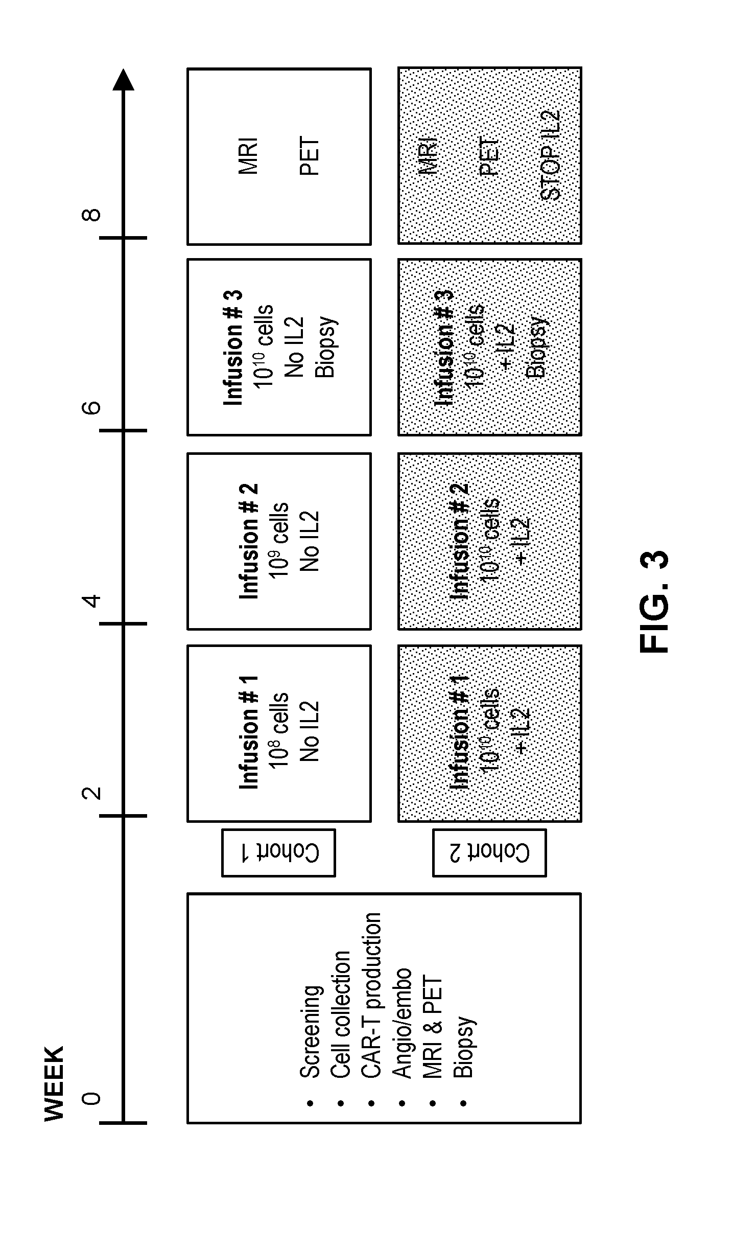 Hepatic arterial infusion of car-t cells