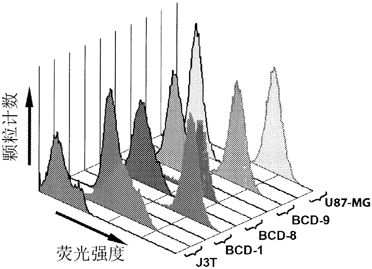 Bacterially derived, intact minicells for delivery of therapeutic agents to brain tumors