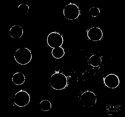 A preparation method of amphiphilic pectin-dihydroartemisinin nanoparticles