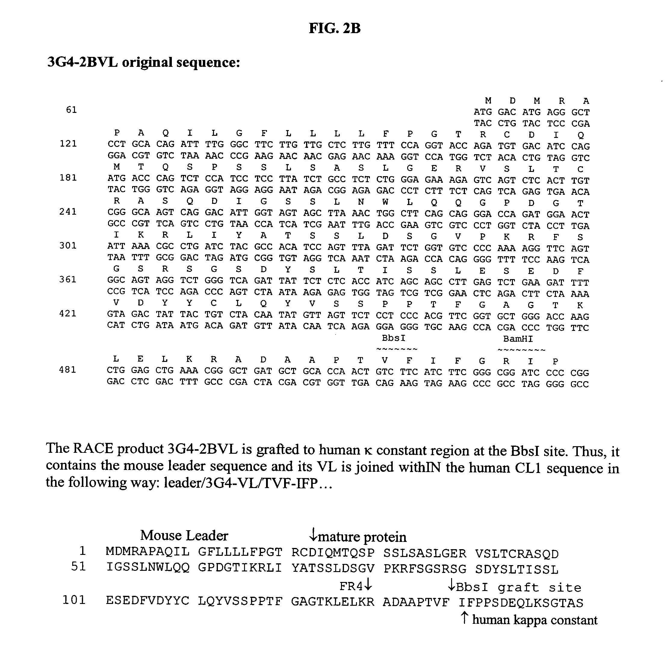 Constructs binding to phosphatidylserine and their use in disease treatment