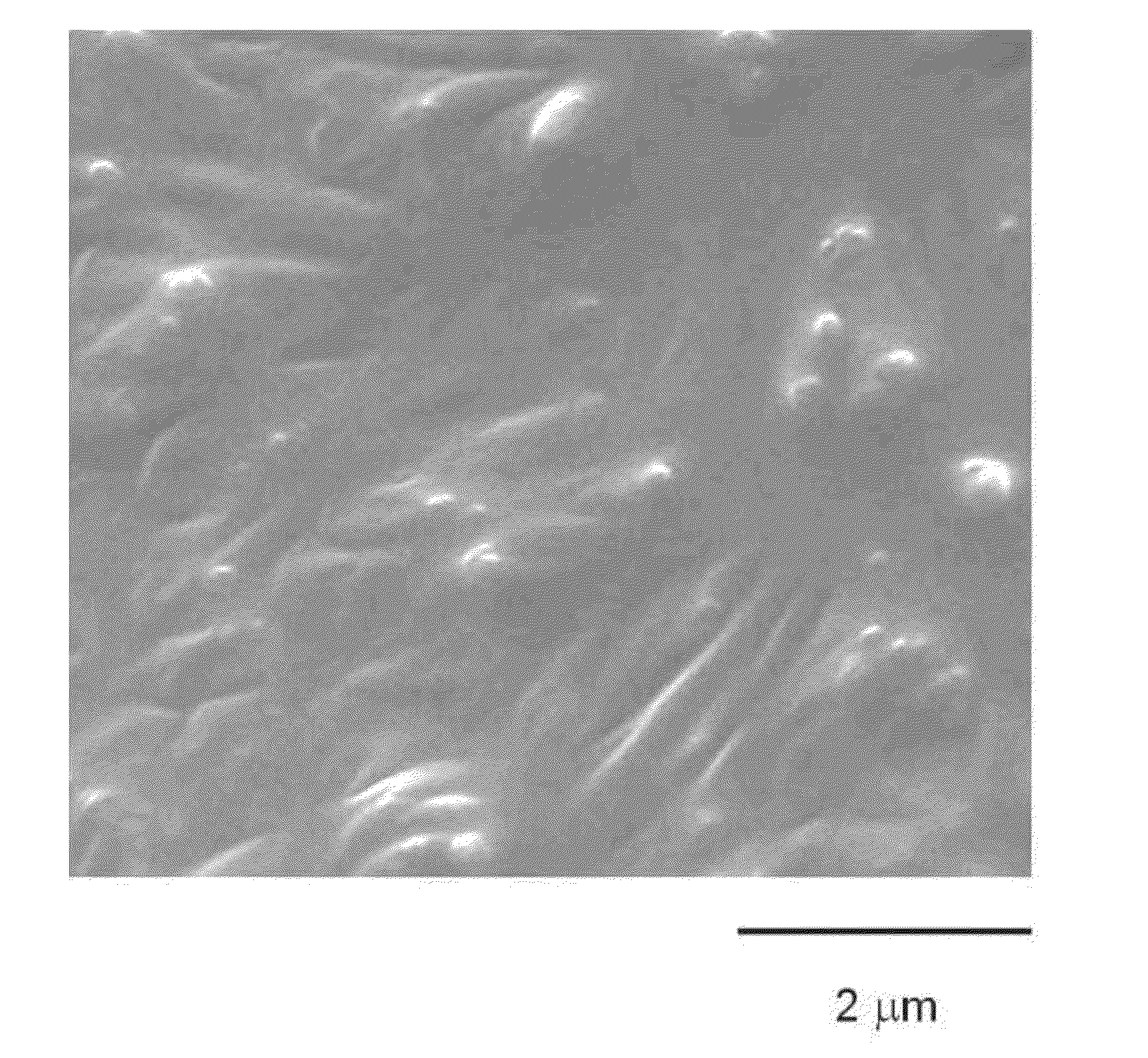 Fabrication method for hydrophilic aluminum surface and hydrophilic aluminum surface body