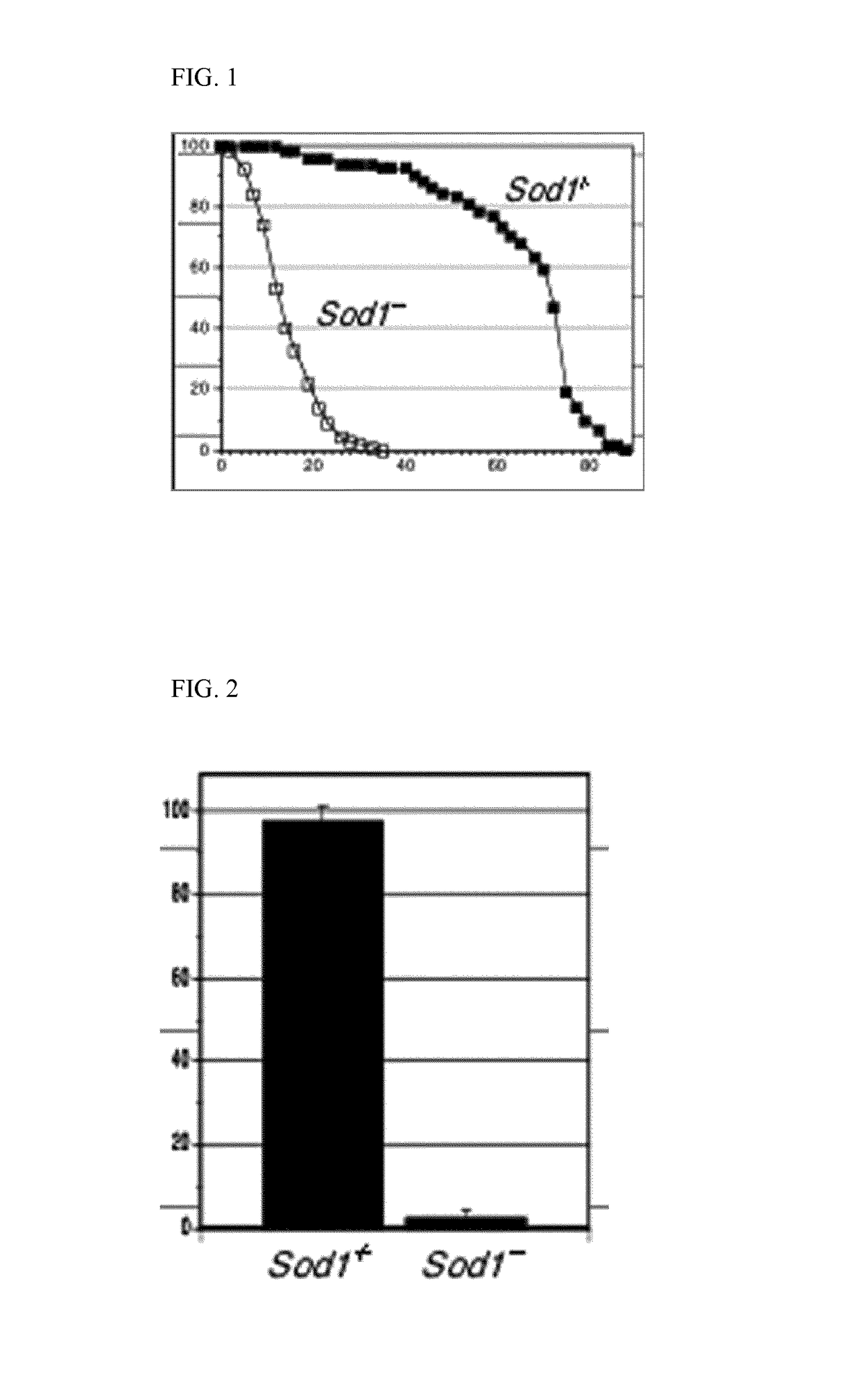 Combination of ibudilast and riluzole and methods of using same