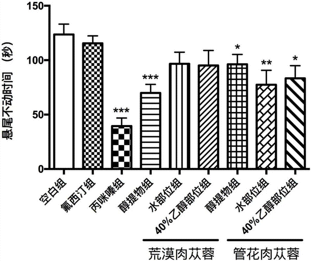 Extraction method for cistanche based phenylethanoid glycoside substance and anti-depression application thereof