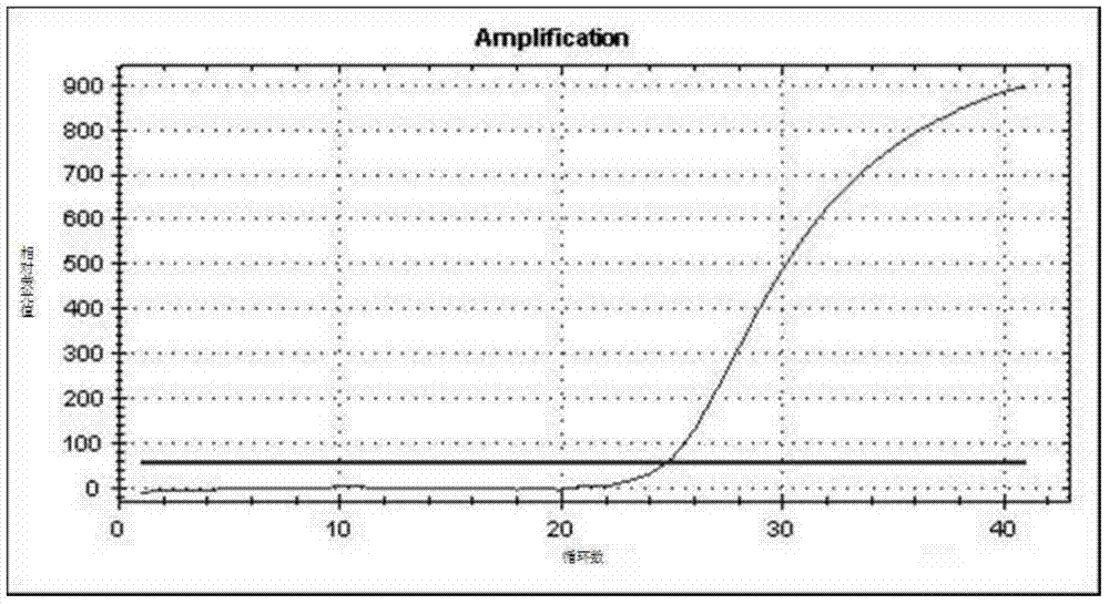 Kit for detecting hotspot mutation of KRAS gene and detection method thereof