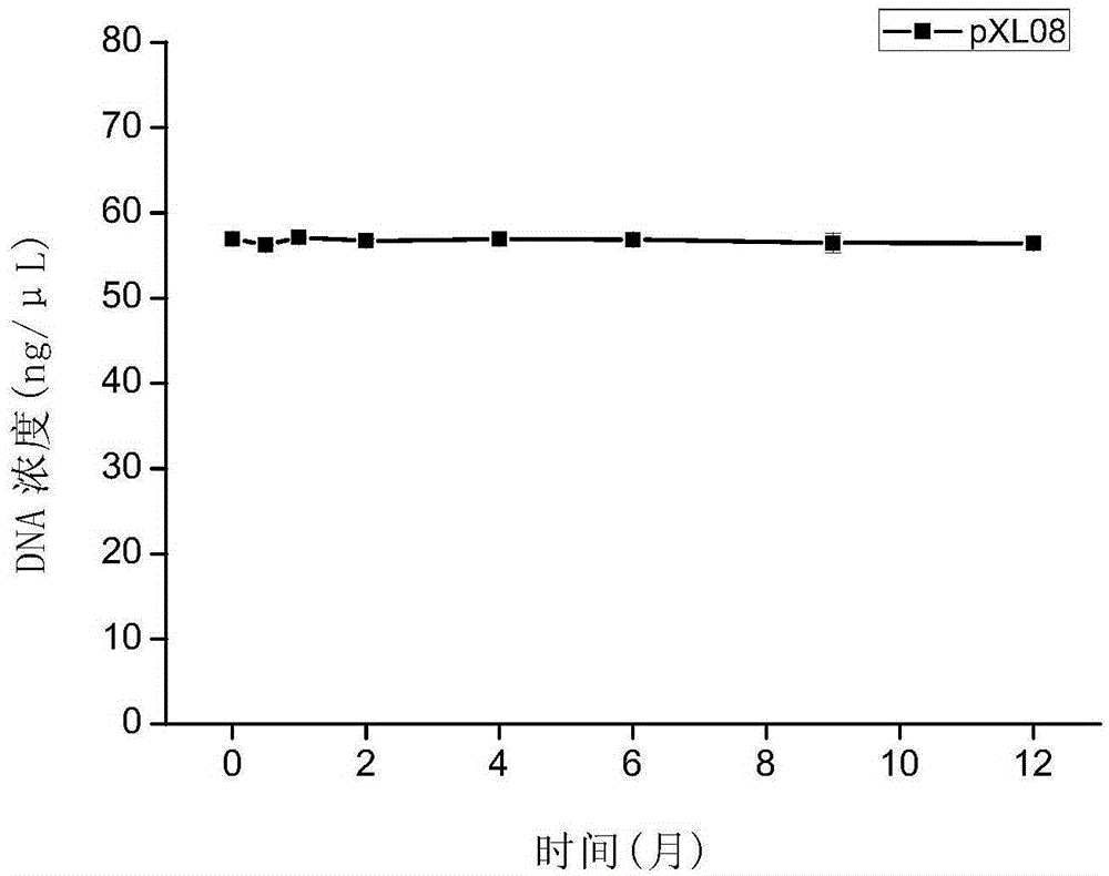 Polynucleotide, method and kit for detection of bacterial drug-resistant gene NDM-1