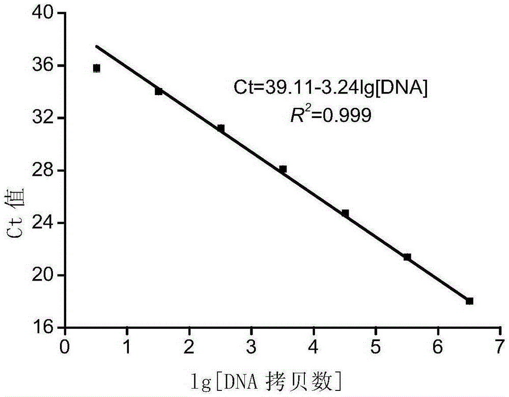 Polynucleotide, method and kit for detection of bacterial drug-resistant gene NDM-1