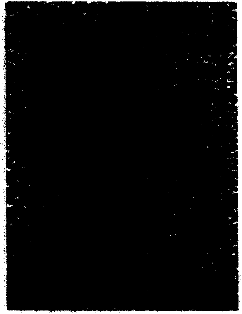 Netted Cu antimicrobial filtering metallic material and preparation thereof