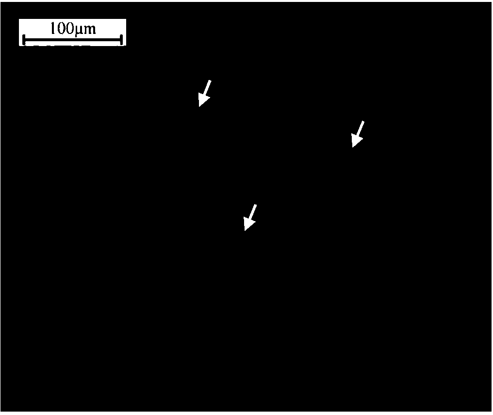 Metallographic corrosion method for clearly displaying 9-12% Cr heat-resistant steel original austenite grain boundary