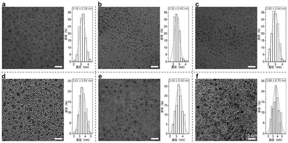 Preparation method and application of tea nanodots