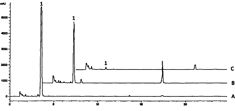 Alternaria radicina bacterial strain for producing alpha-L-rhamnoside enzyme and cultivating method as well as application thereof