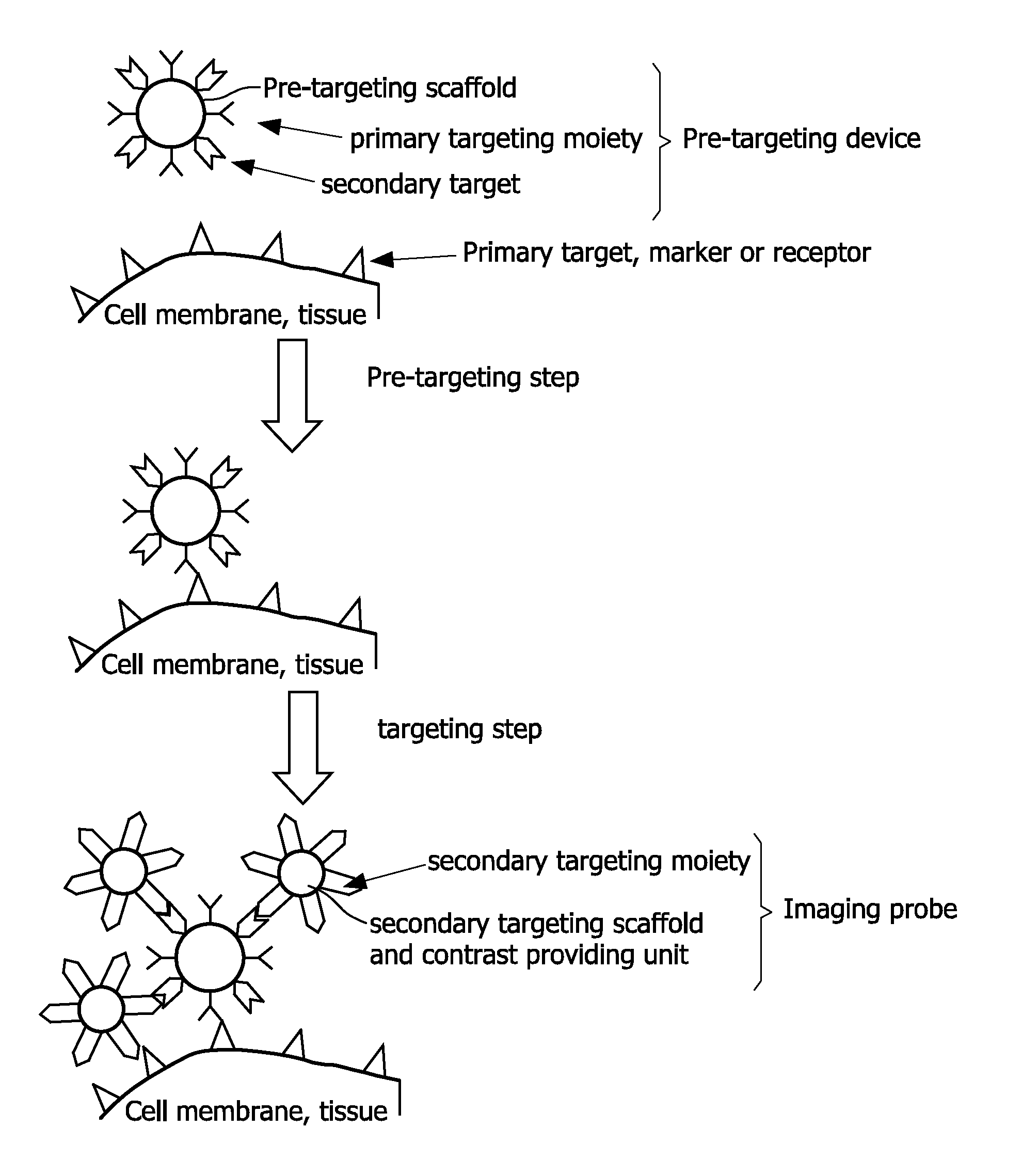 Pretargeting kit, method and agents used therein