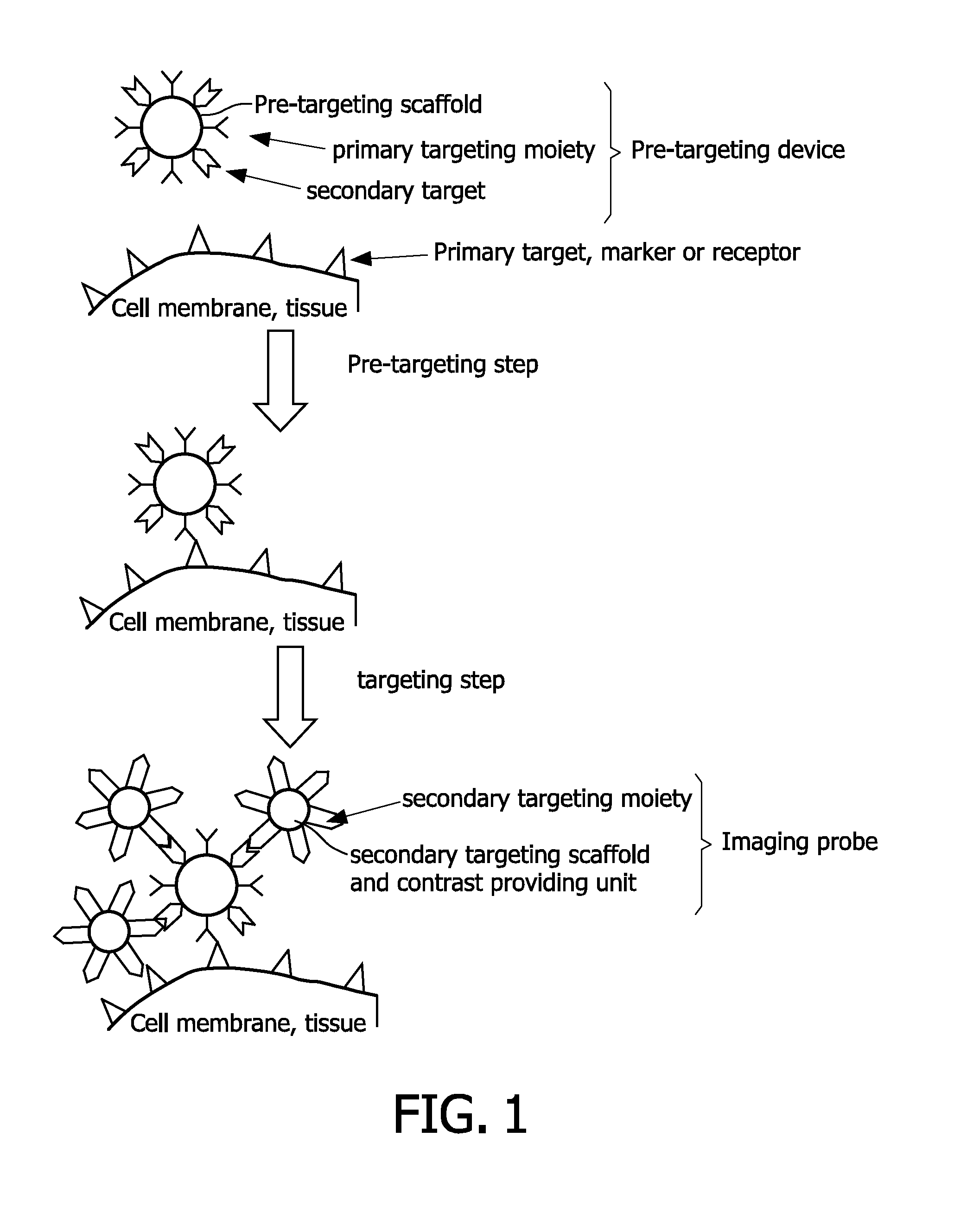 Pretargeting kit, method and agents used therein