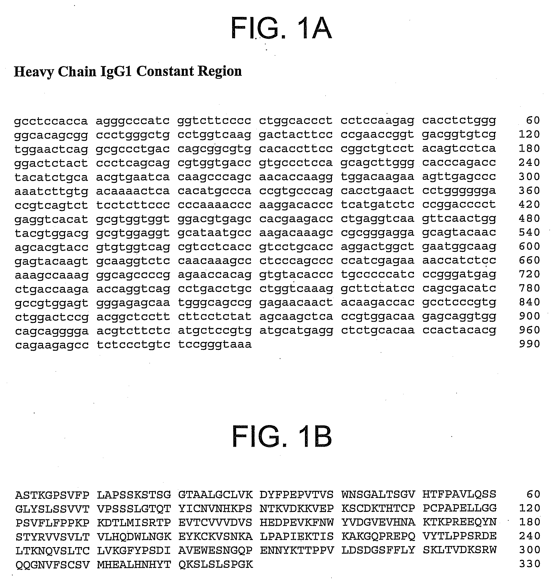 Therapeutic Human Anti-IL-1R1 Monoclonal Antibody