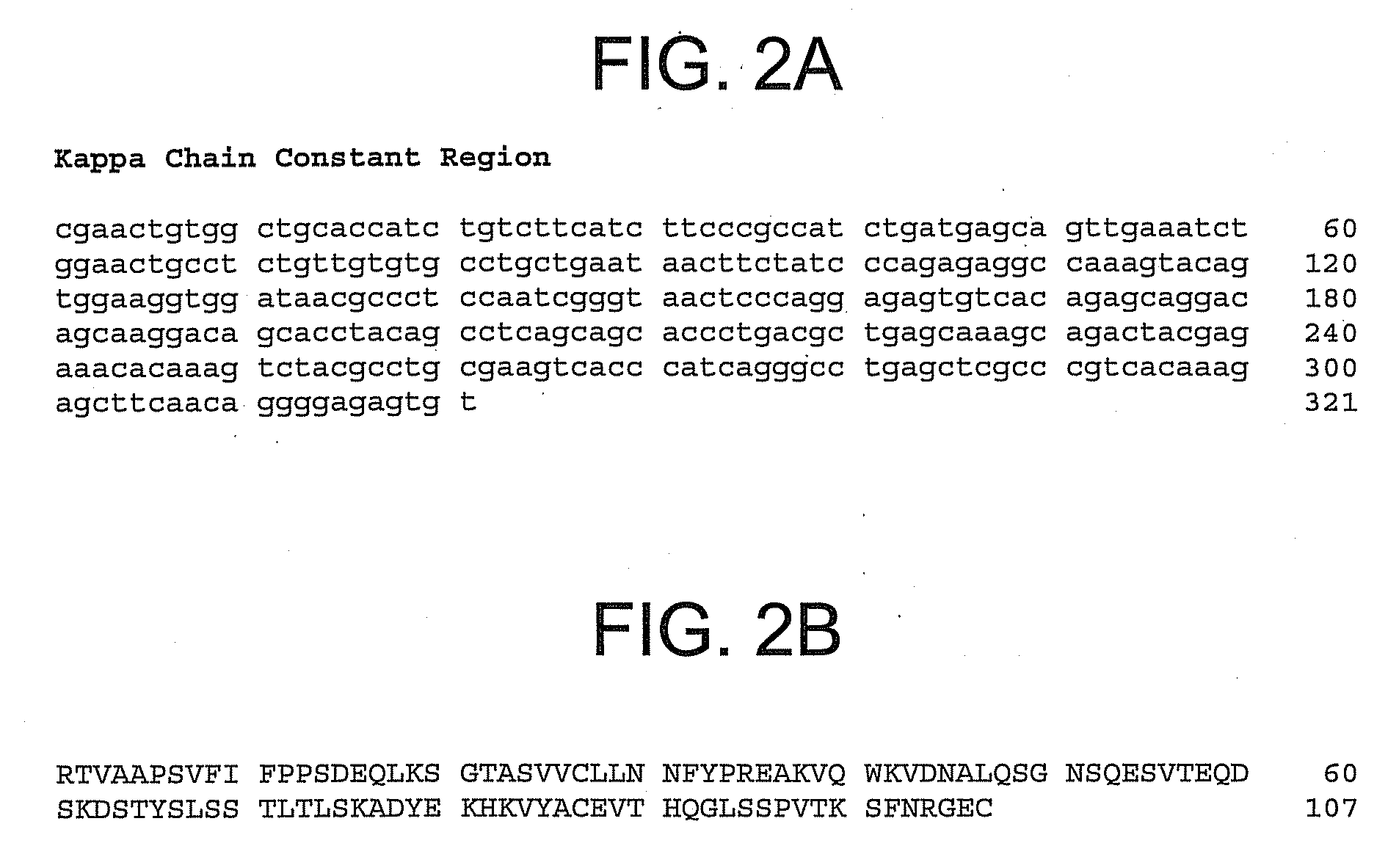 Therapeutic Human Anti-IL-1R1 Monoclonal Antibody