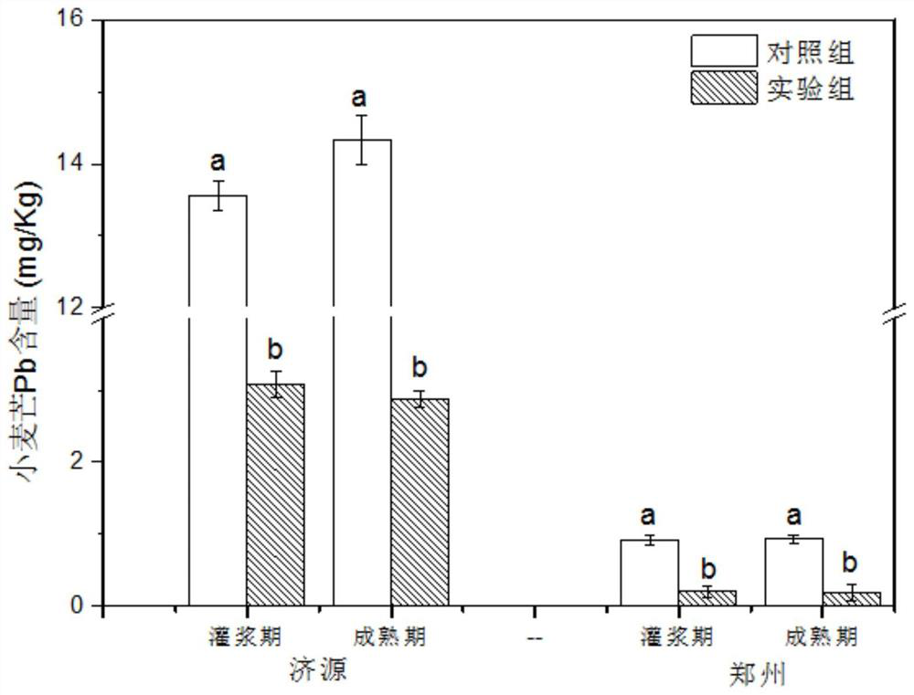 Wheat grain lead control agent as well as preparation method and application method thereof