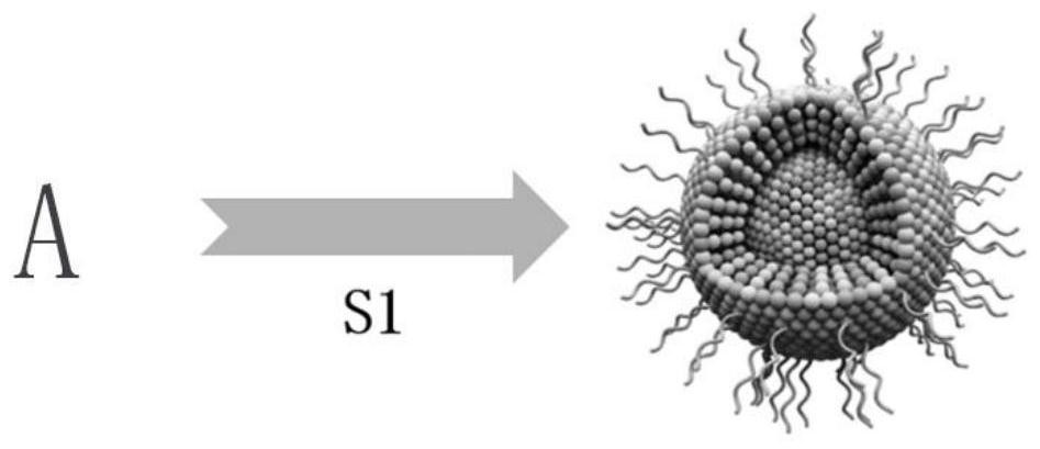 Nanometer material with surface inorganic metal ion mediated targeting effect and application thereof