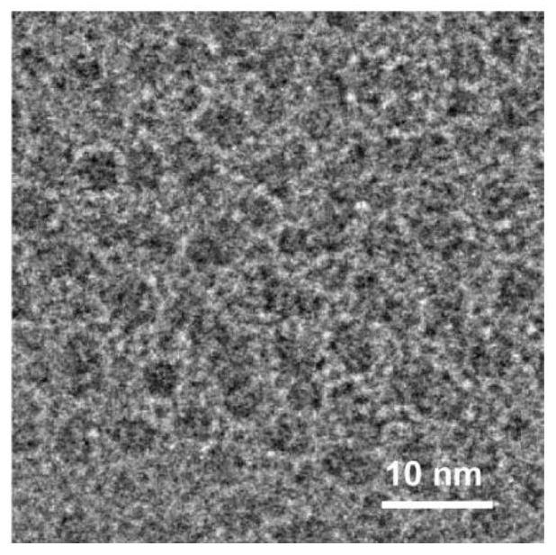 Nanometer material with surface inorganic metal ion mediated targeting effect and application thereof