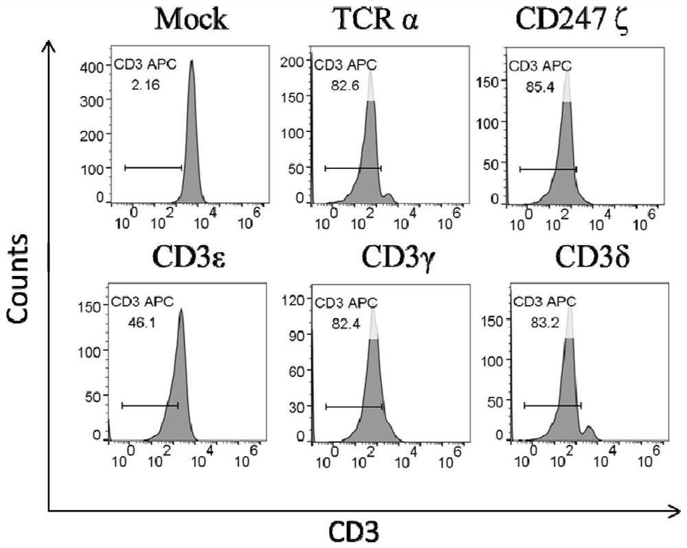 Modified T cells and uses thereof