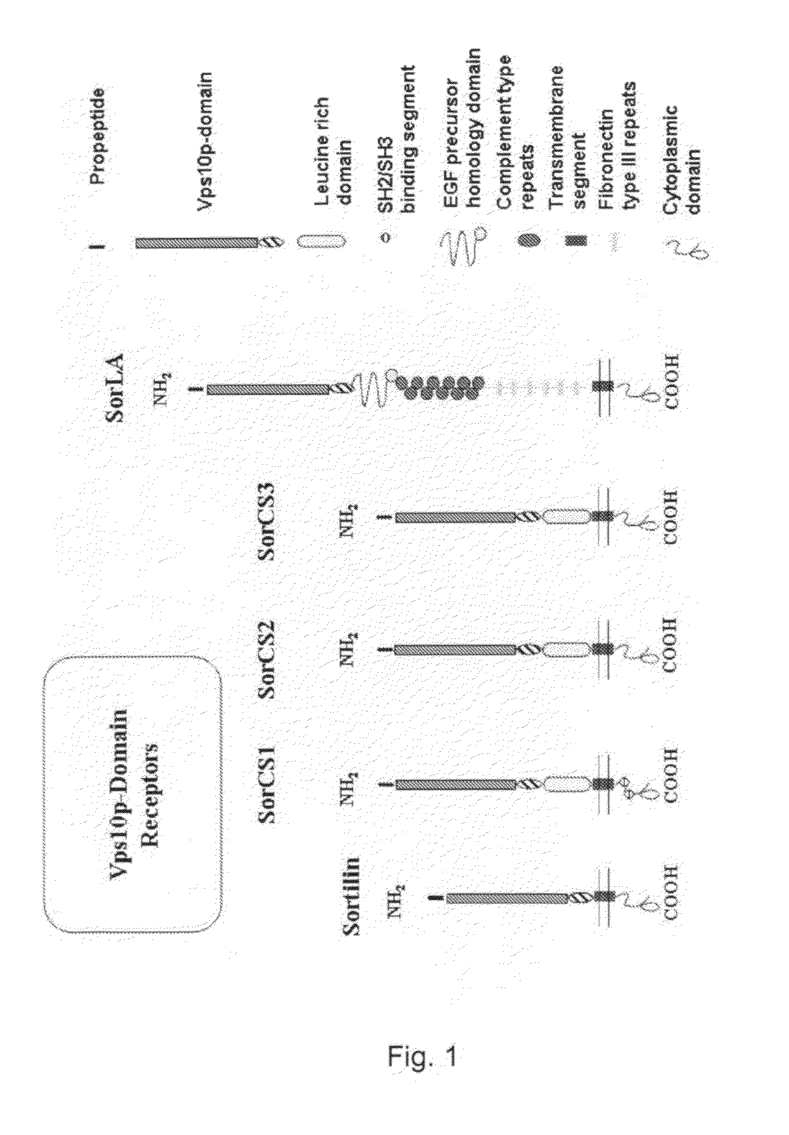 Modulation of the Vps10p-domain receptor family for the treatment of mental and behavioural disorders