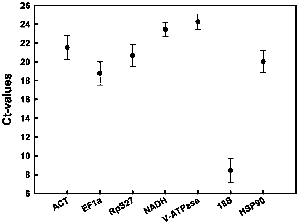 Screening method of reference genes in stable expression in sitobion avenae fabricius at different temperatures and application