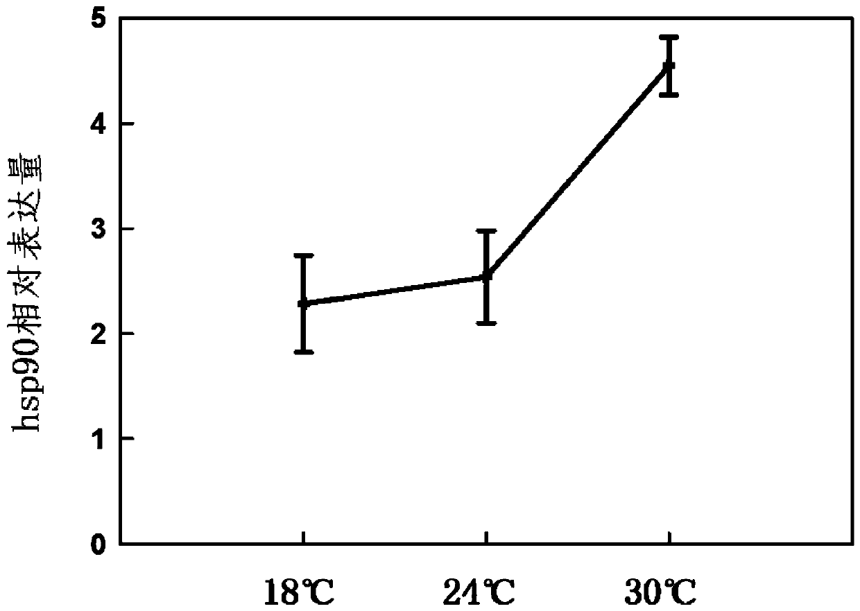 Screening method of reference genes in stable expression in sitobion avenae fabricius at different temperatures and application