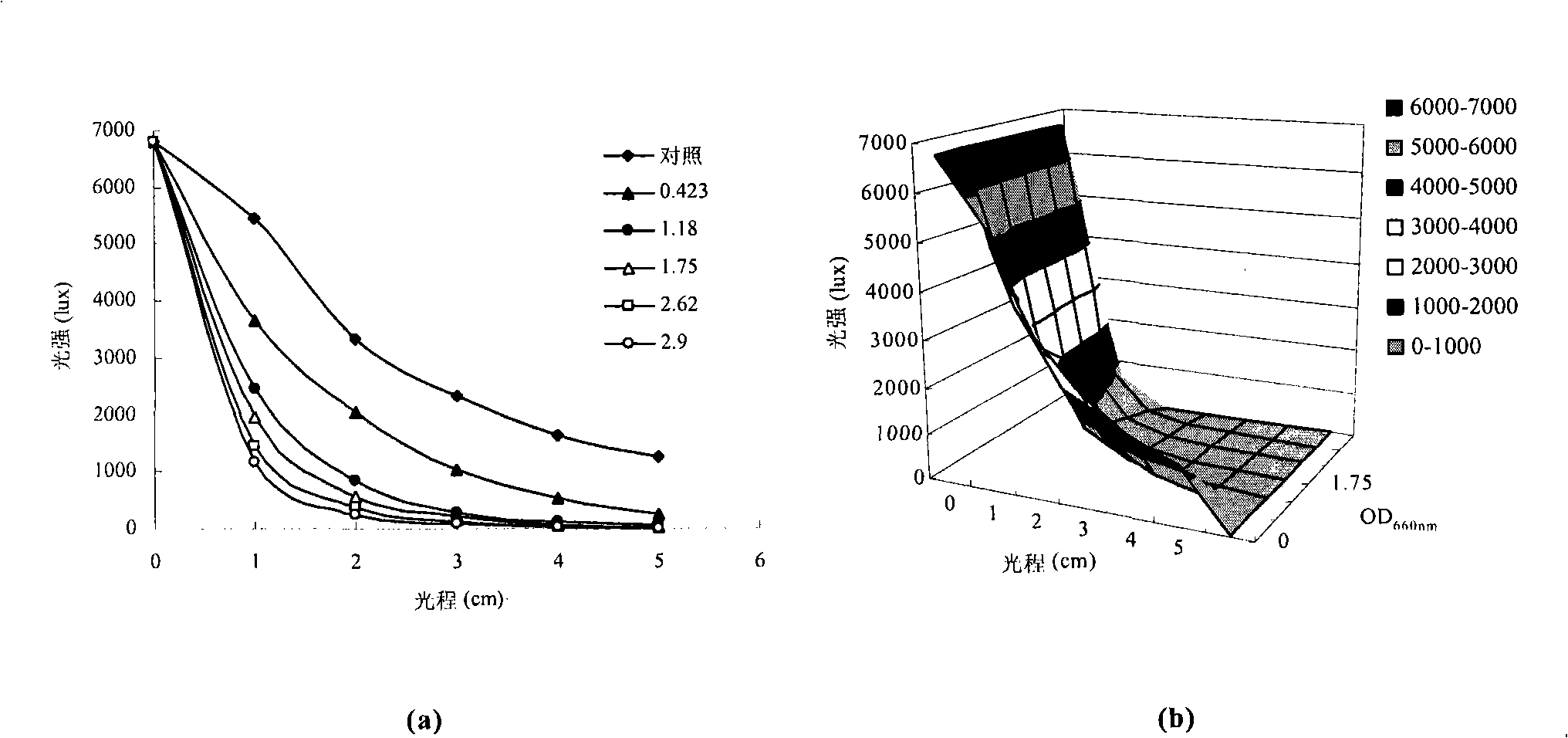 Novel photosynthetic organism hydrogen generation process based on oscillation-light-filling strategy