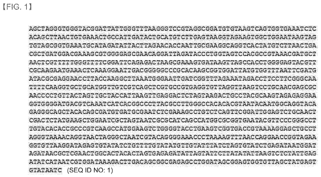 Composition for inhibiting lipofuscin accumulation or removing lipofuscin