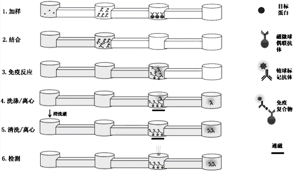 Micro-fluidic chip immunofluorescence rapid detection kit as well as preparation and detection methods thereof