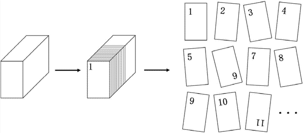 Method for constructing three-dimensional model based on tissue slices