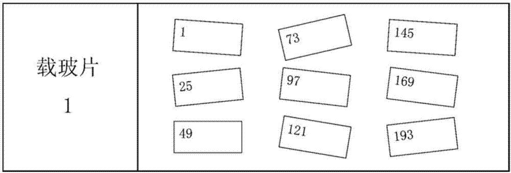 Method for constructing three-dimensional model based on tissue slices