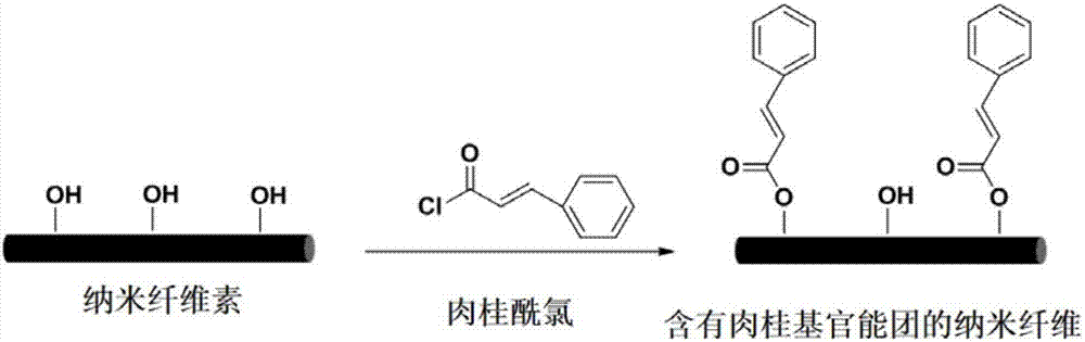 Nano cellulose containing cinnamyl functional group and preparation method and application of nano cellulose