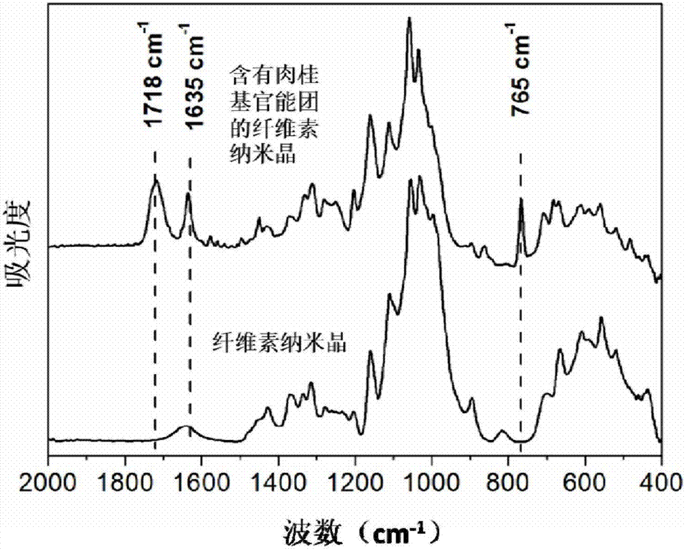 Nano cellulose containing cinnamyl functional group and preparation method and application of nano cellulose