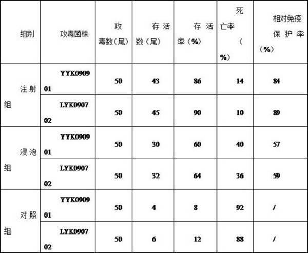 Freshwater fish aeromonas hydrophila-aeromonas sobria bivalent inactivated vaccine and industrialized preparation method thereof