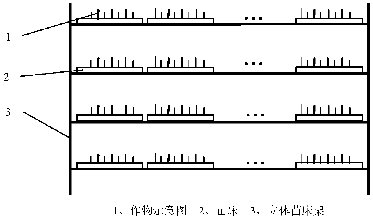 Seedbed dispatching method and system capable of precisely predicting illumination and medium