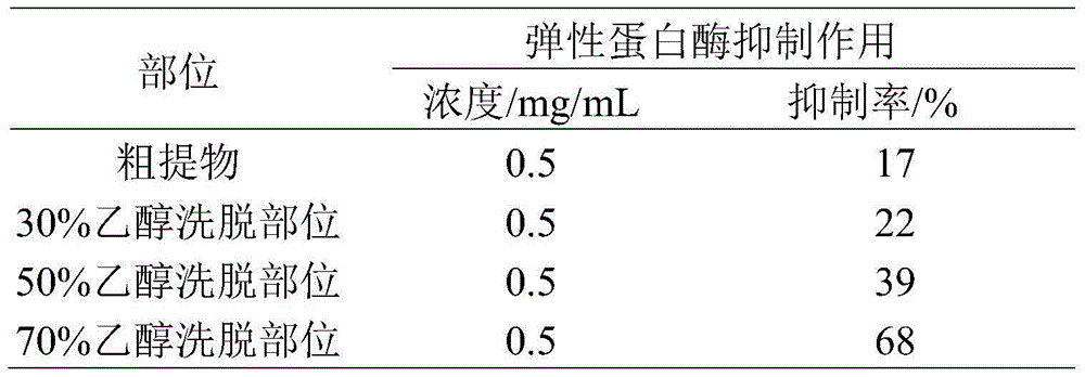 Tender leaf extract of prinsepia utilis as well as preparation method and applications of tender leaf extract