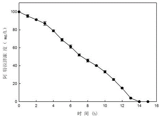 High-efficiency Atrazine degrading bacteria and application and screening method thereof