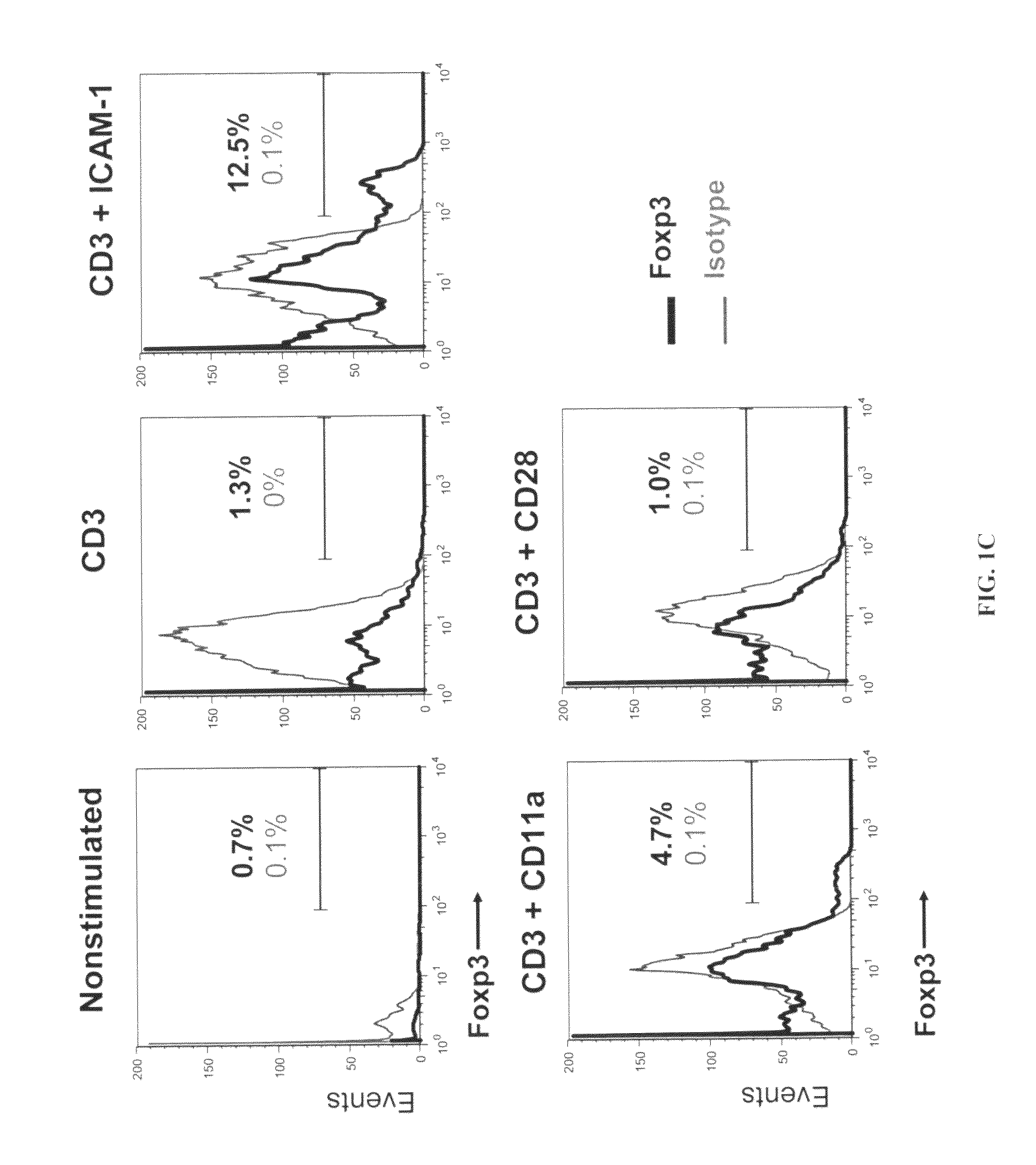 Preparation of regulatory T cells using ICAM-1 co-stimulation