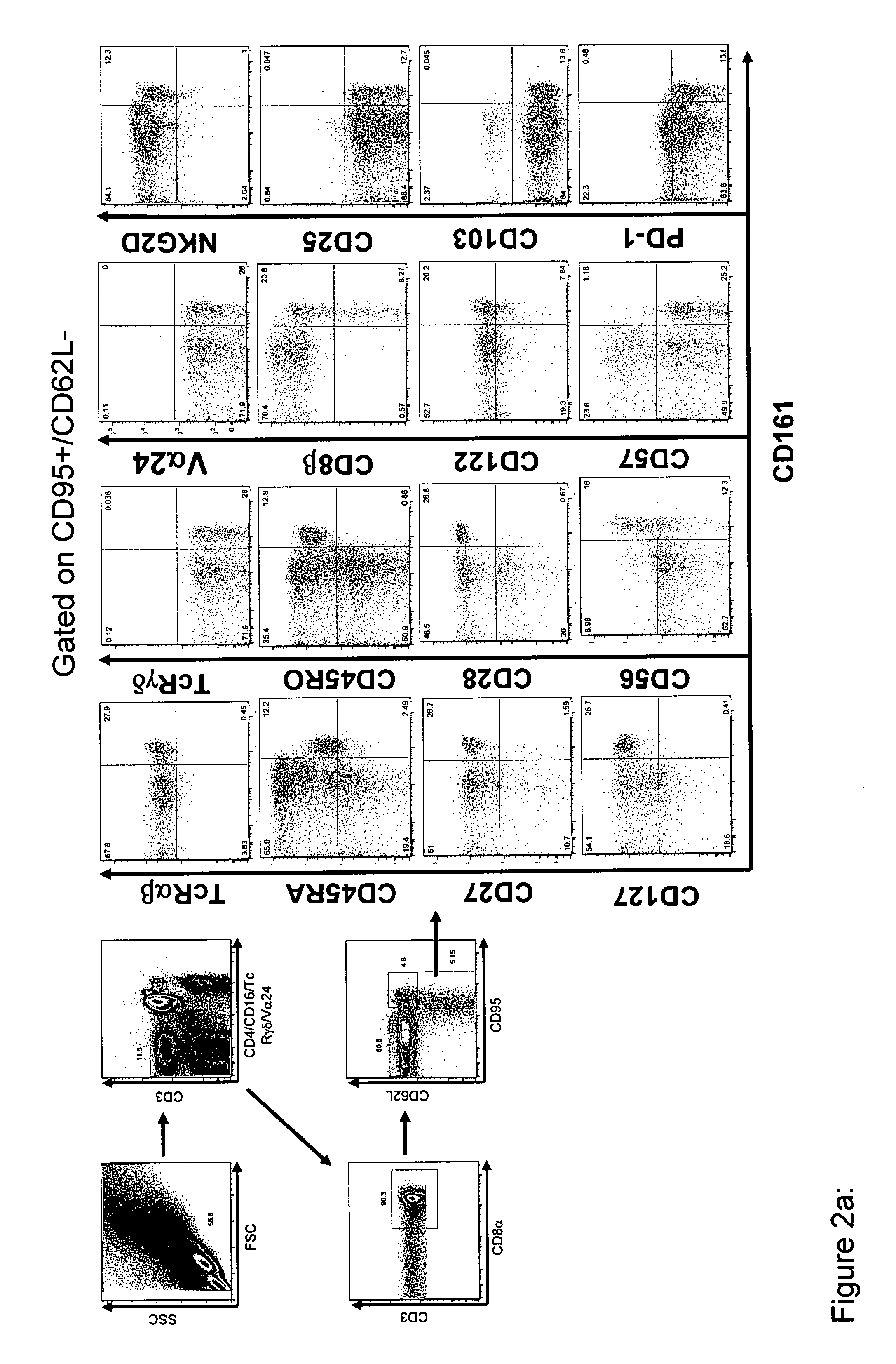 Identifcation of CD8<sup>+</sup> T cells that are CD161<sup>hi </sup>and/or IL18Rα<sup>hi </sup>and have rapid drug efflux capacity