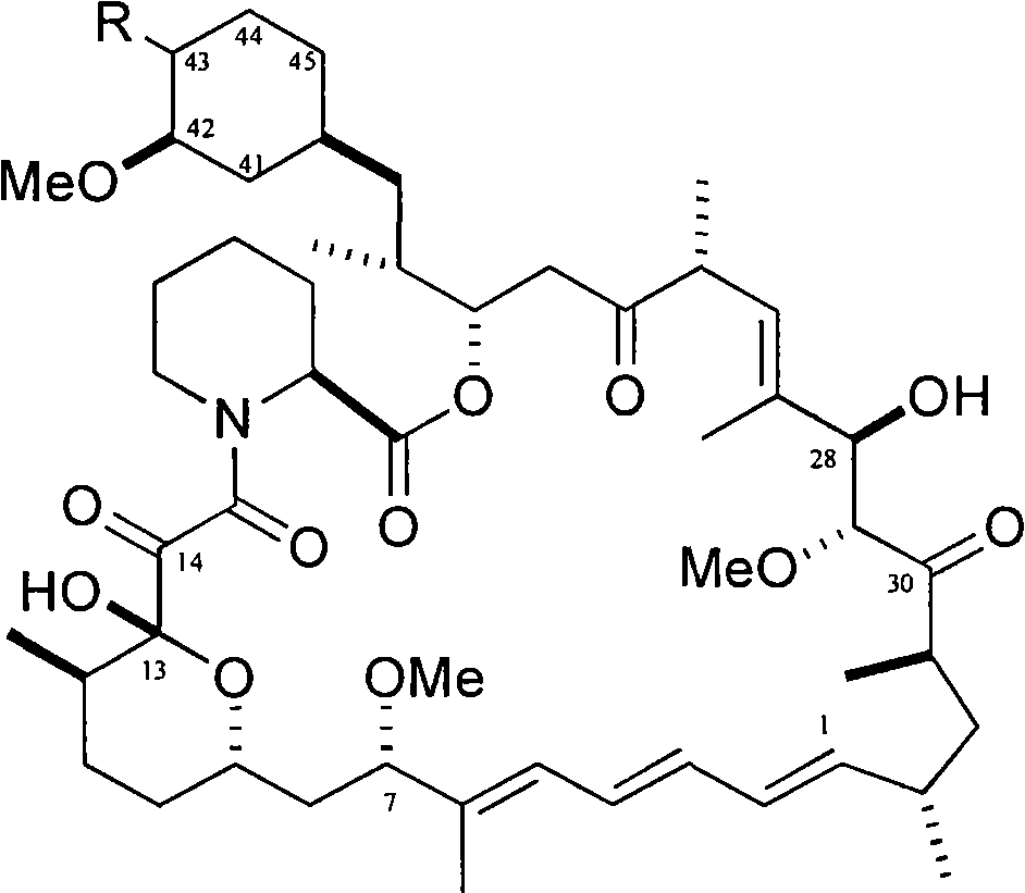 Administration of mntor inhibitor to treat patients with cancer