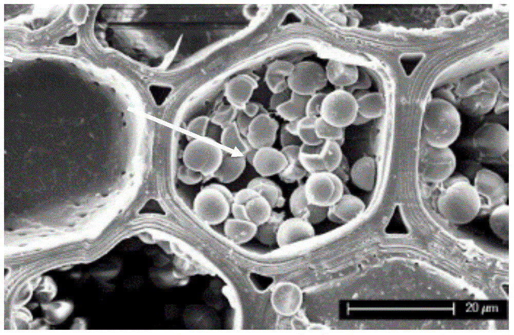 Furfuryl alcohol modified solution for modifying wood materials or bamboo materials